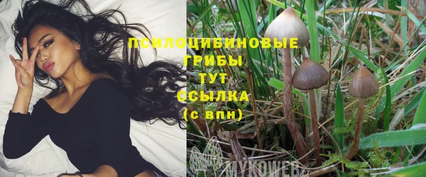 mix Горняк