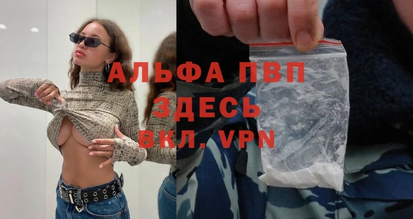 спайс Вяземский